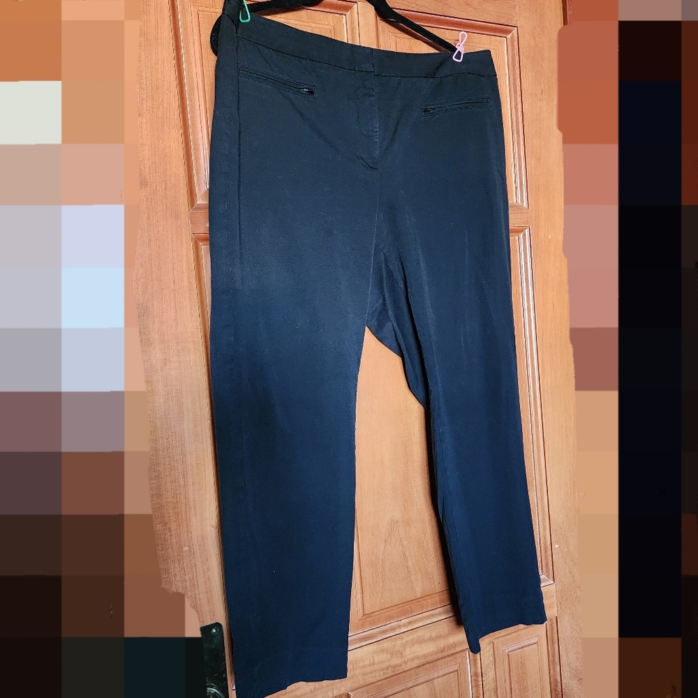 Talbots Office Pants